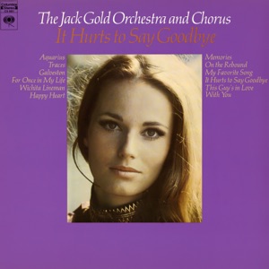It Hurts to Say Goodbye by Jack Gold Orchestra & Chorus