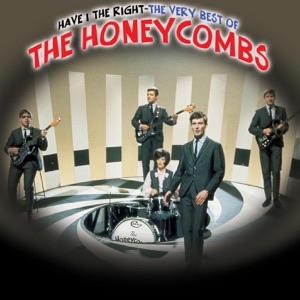Have I the Right by The Honeycombs